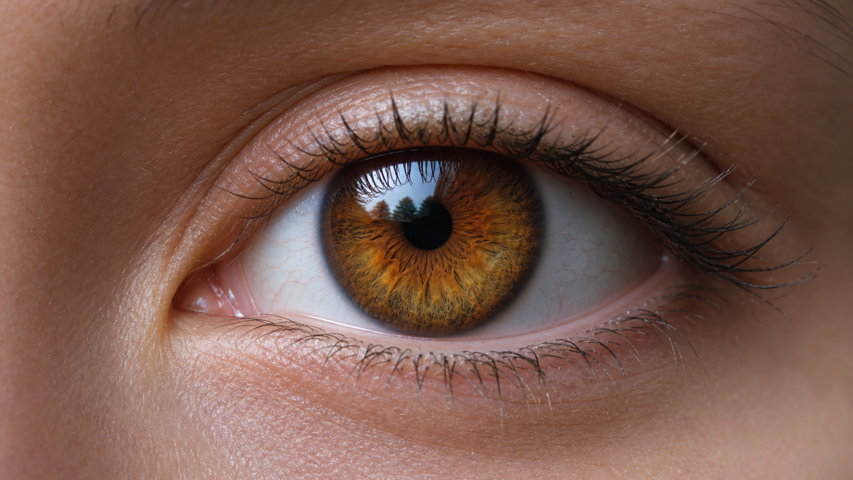 Close-up human eye showing amber versus brown color difference with warm golden iris tones