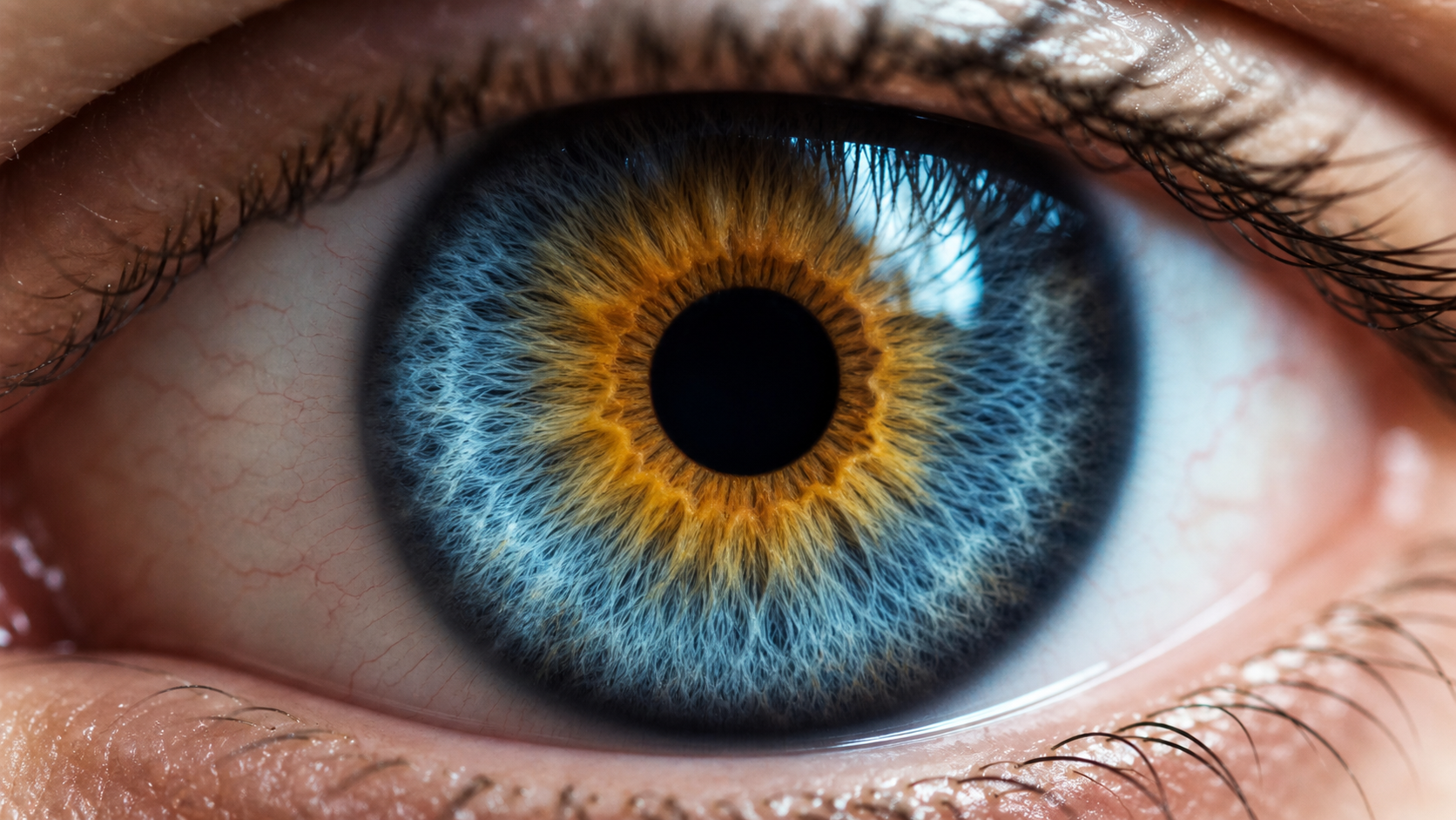 Close up macro photograph of a human eye showing intricate iris fibers and genetic pigment variations