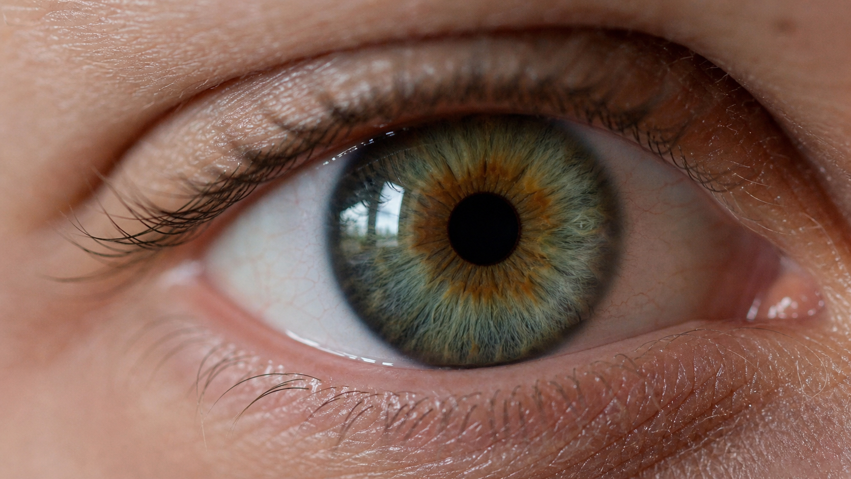 Close-up human iris showing how pigment and light determine eye color